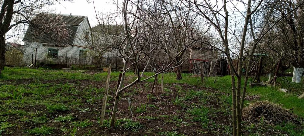 Дачний участок 8 соток Зайчевское ДК Зайчевское