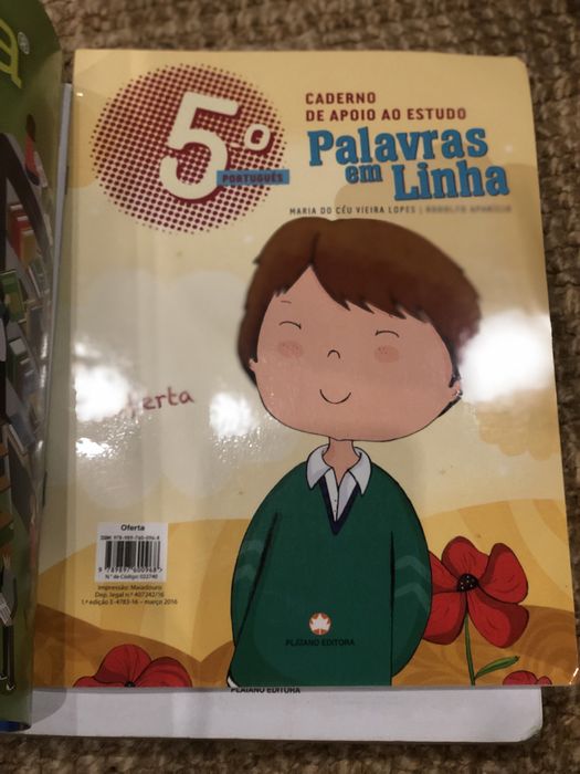Manual português Palavras em linha 5 ano