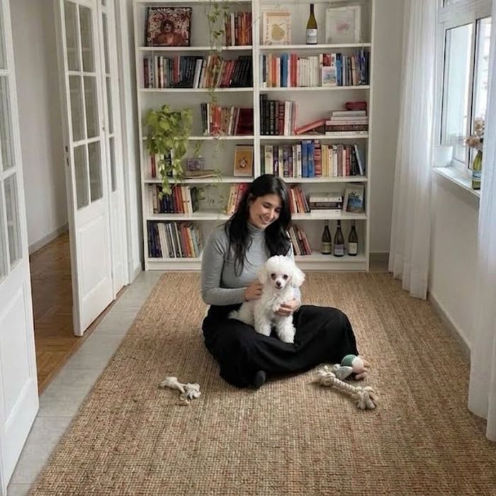 Pet Sitter e Dog Walker | Creche, Hotel e Cuidados para Cães e Gatos | Lisboa, Areeiro, Alvalade, Arroios, Avenidas Novas, Saldanha, Estrela
