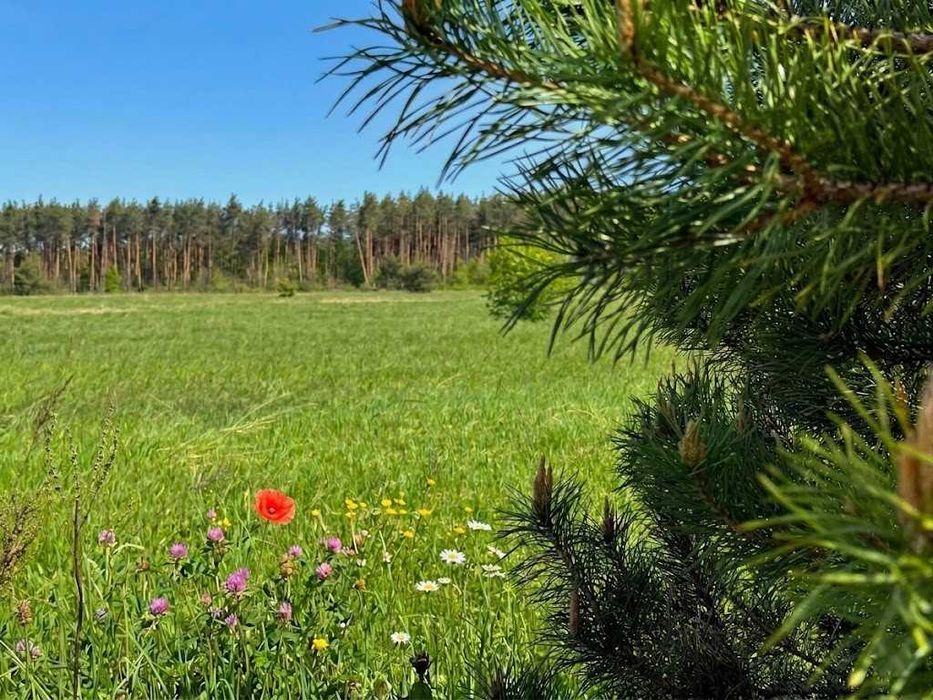 Продаж ділянки 9,51 соток під дачну забудову. Новий житловий масив. ID:391