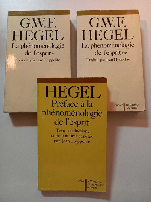 Kant Hegel Wittgenstein Vários Livros Desde 5€
