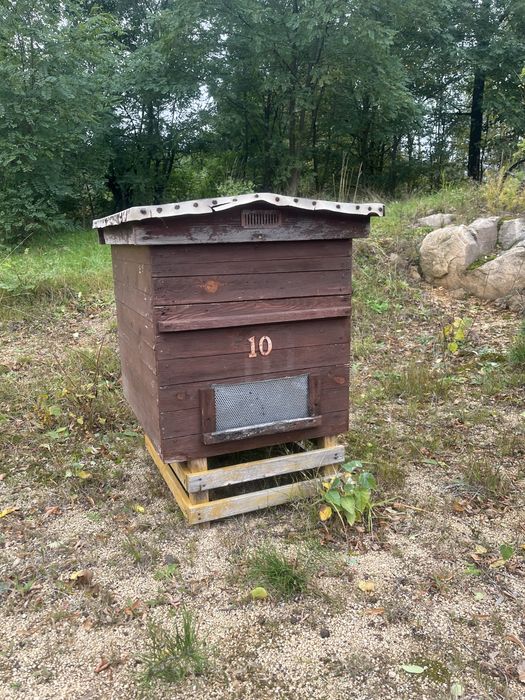 Ule wielkopolskie leżaki