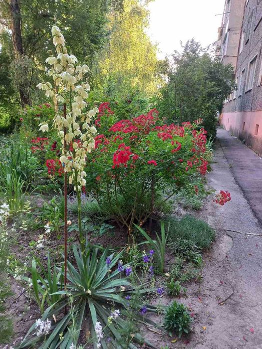 Однокімнатна квартира від власника