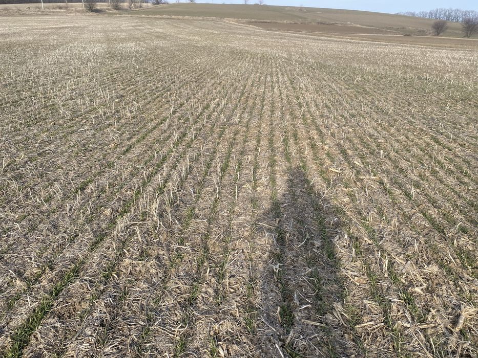 Сівалка Сіва Нова 3.6