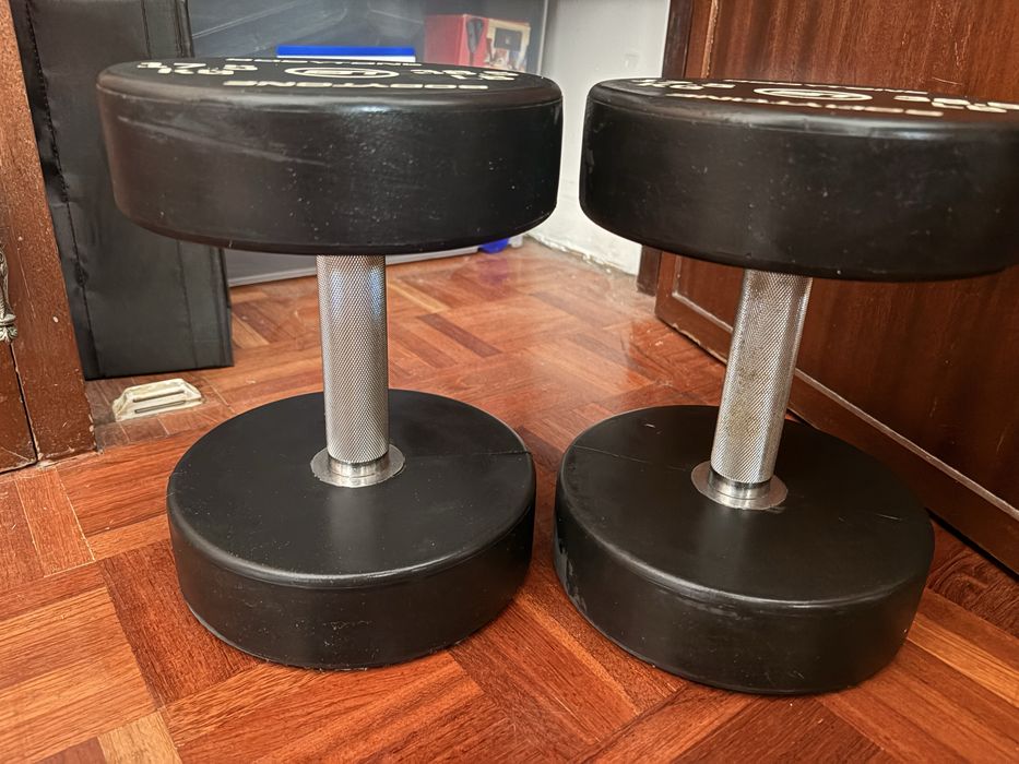 Pesos musculação Bodytone 17,5 cada