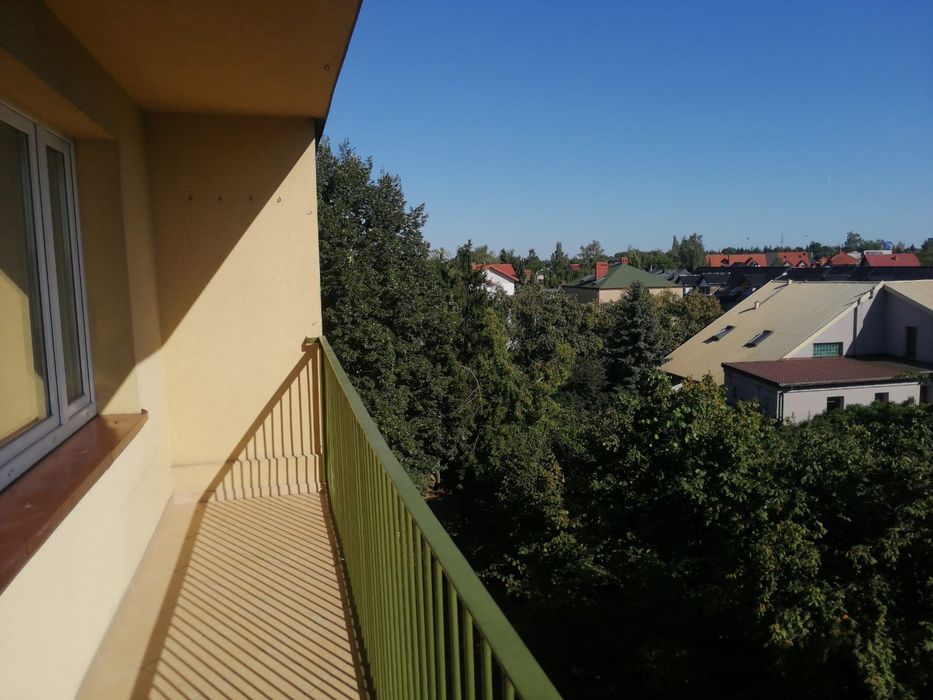 Zdjęcie 8