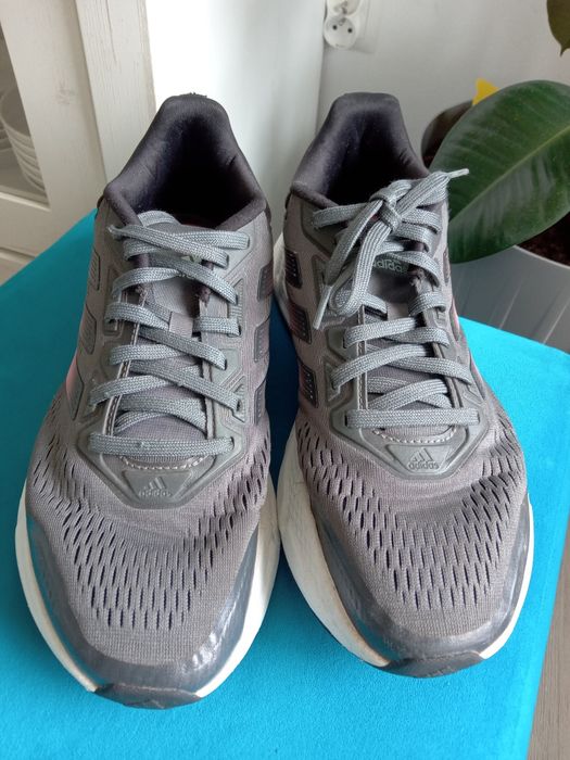 Adidas Questar buty sportowe 42