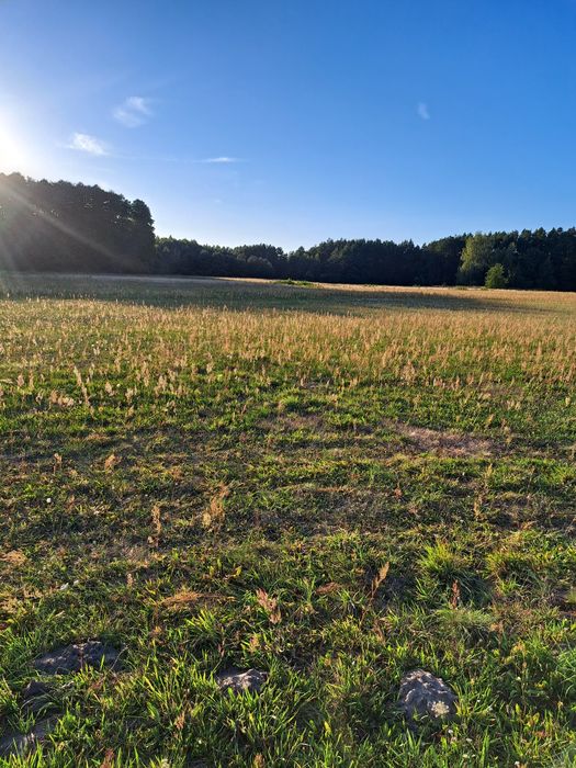 Sprzedam działkę budowlaną 1400m² w Ptaszkowicach