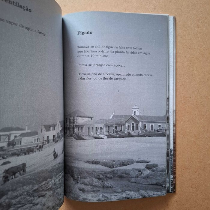"Guia de medicina tradicional da praia da Aguda" de Mike Weber, Ana Ferreira e Assunção Santos
