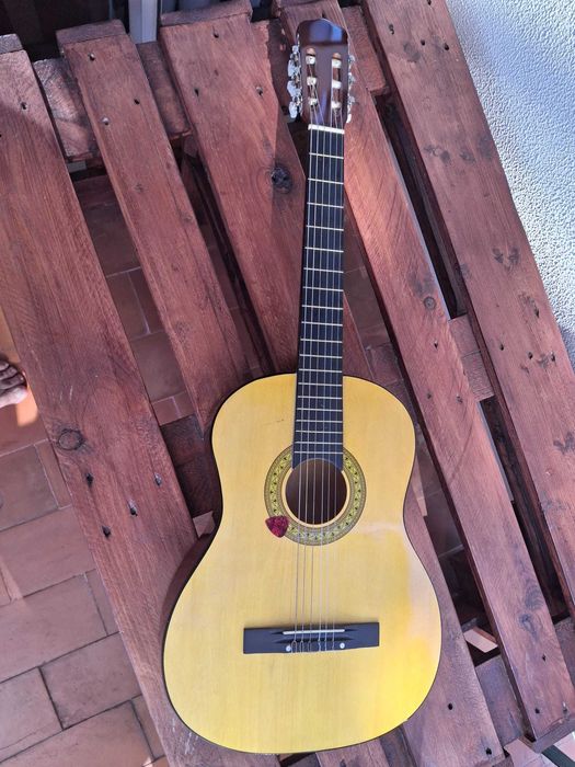 Viola com capa e palheta