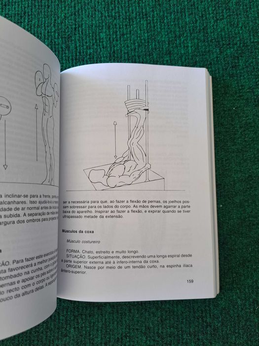 Guia Prático do Culturismo - José Viñas Buenache