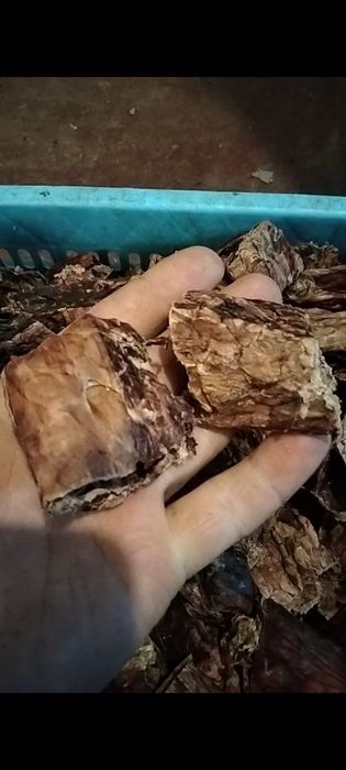 Ласощі для тварин