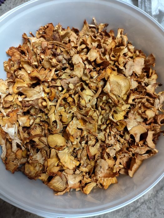 Suszone kurki sprzedam.