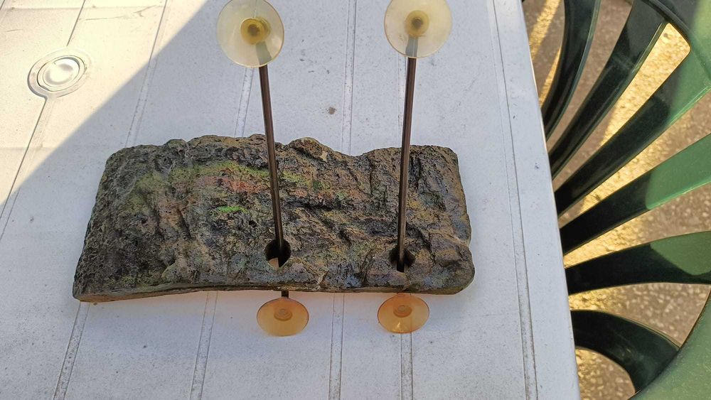 Plataforma Tartaruga