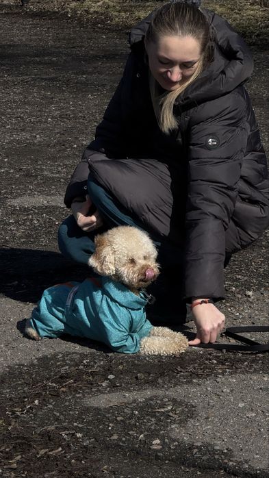 Дресирування собак | Кінолог | Школа “АТЛАНТ”