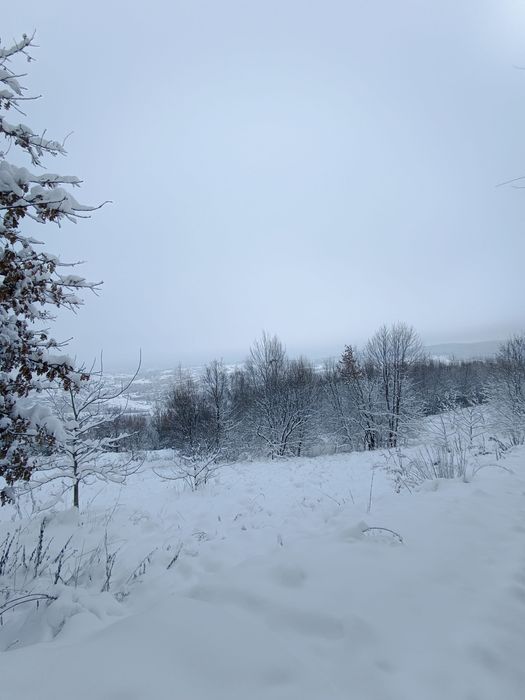 Działka rolna, widokowa - Marcinkowice Łazy