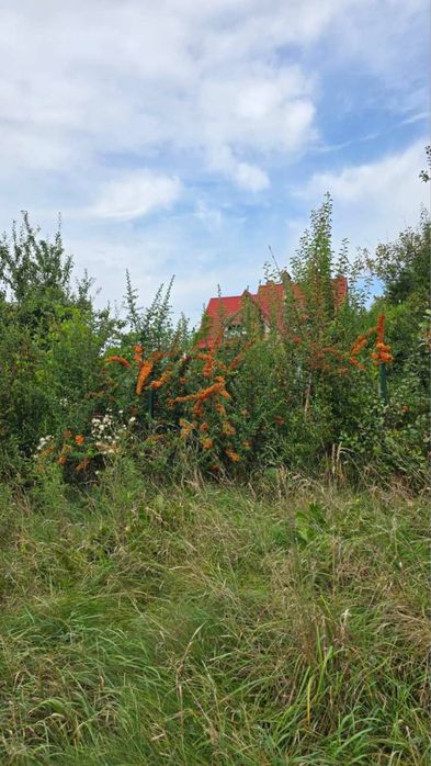 Продаж земельної ділянки, с. Грабник (10 км до Львова)