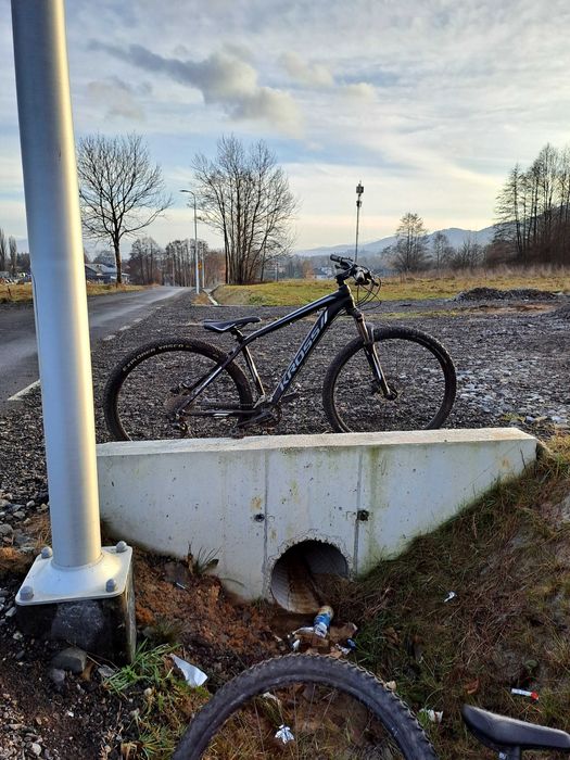 Rower Kross Espirt 5.1