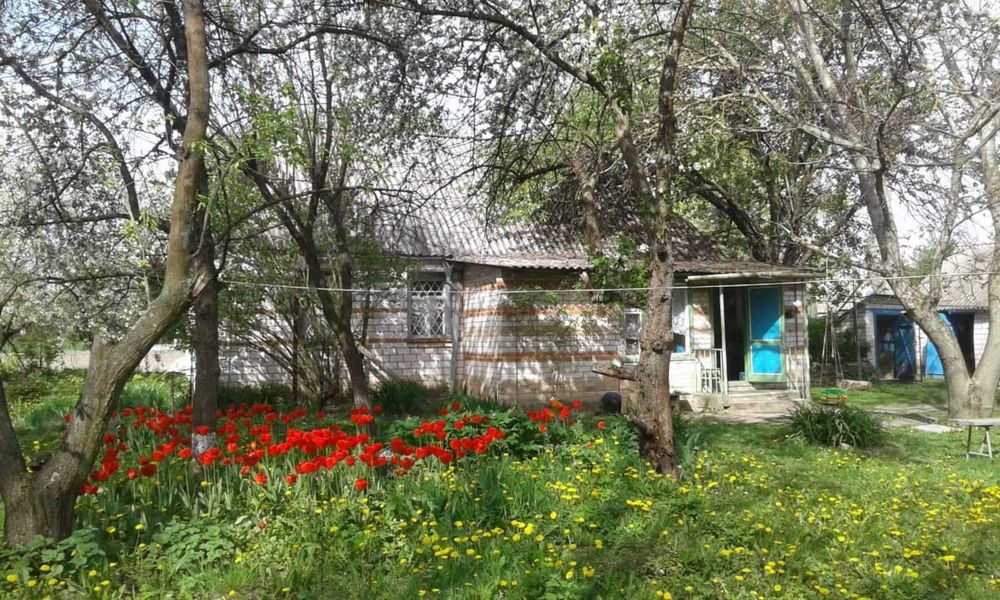 Продам будинок Київська обл.Фастівський р-н с Грузьке вул Брусилівська