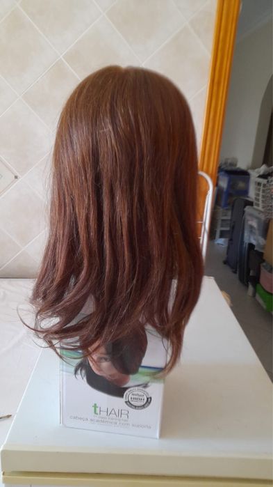 Cabeça académica com suporte