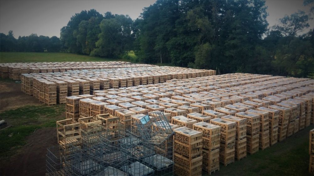 Drewno kominkowe opałowe GRAB DĄB BRZOZA OLCHA