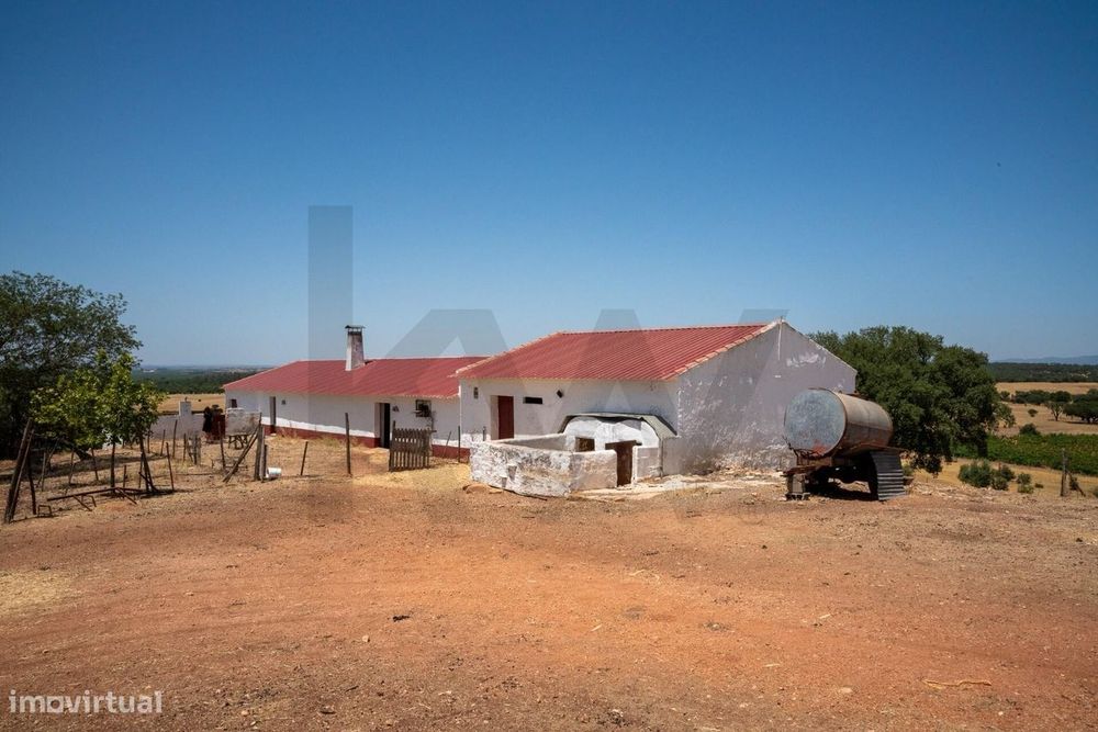 Herdade com 20,96 ha em Montoito | Vinha, Água, Monte Alentejano e Pot