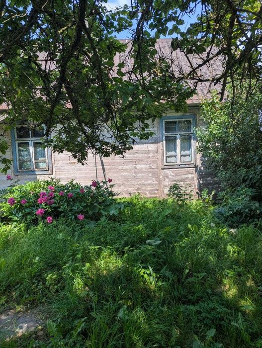 Продаж земельної ділянки 64 сот. с.Піддубці, 11 км. від Луцька є газ, світло