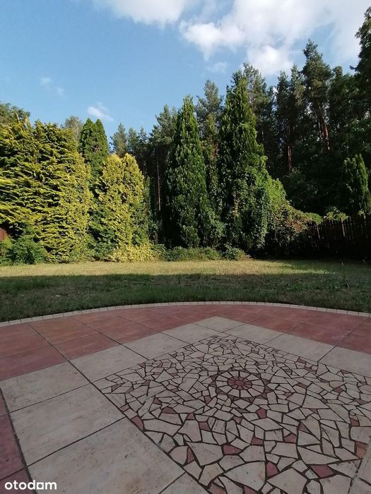 Dom – Zielona Góra, Osiedle Cegielnia - Widok 5
