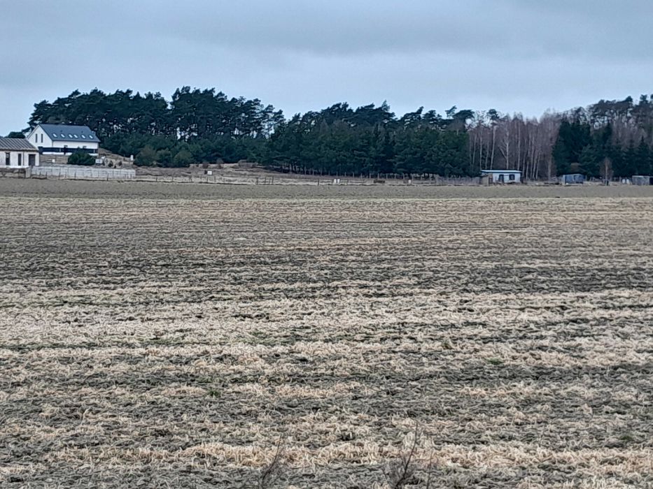 Sprzedam działki Mieściska, gmina Duszniki
