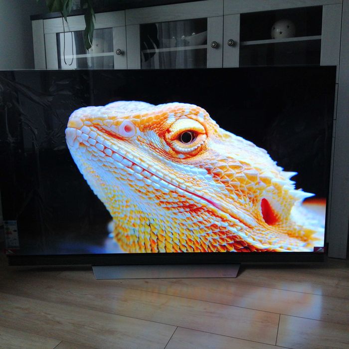 LG OLED 65E7V pilot