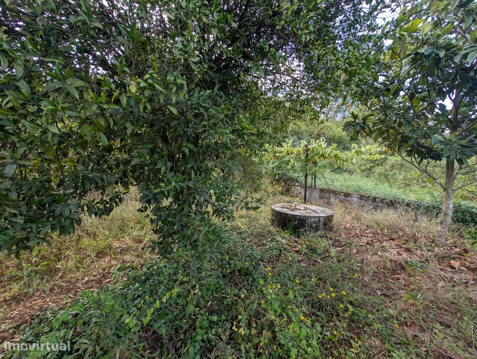 Terreno Misto em Vilaça – 1.100 m²