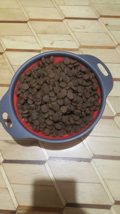 Корм, для собак.