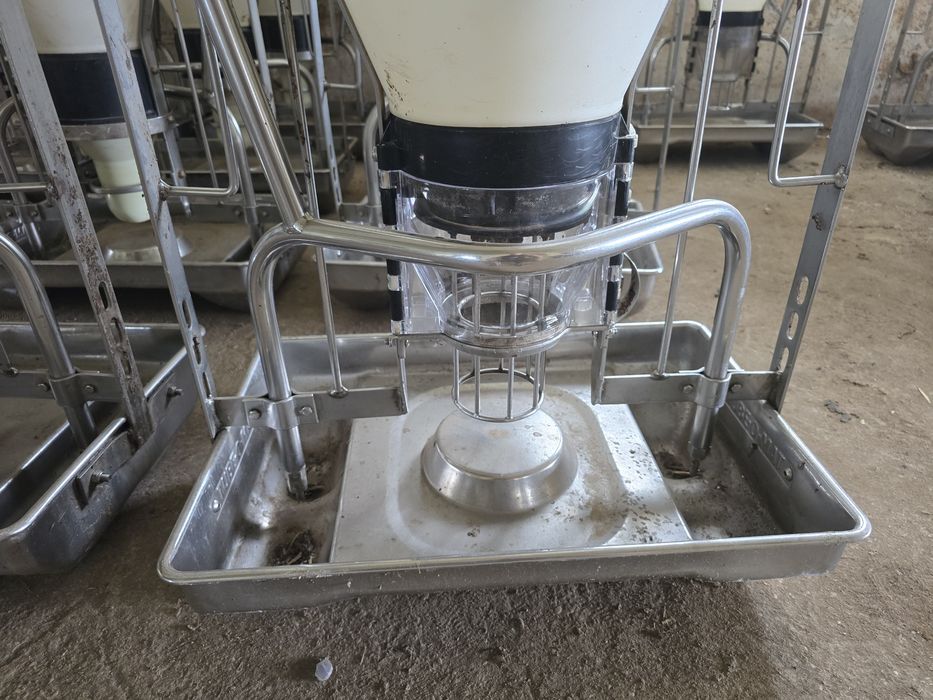 Automaty paszowe