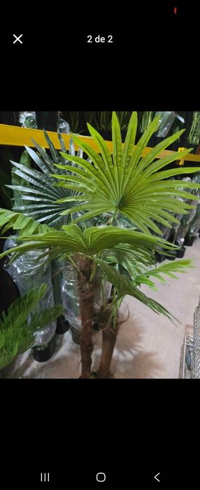 Palmeiras areca de excelencia artificiais 170 cm para decorações