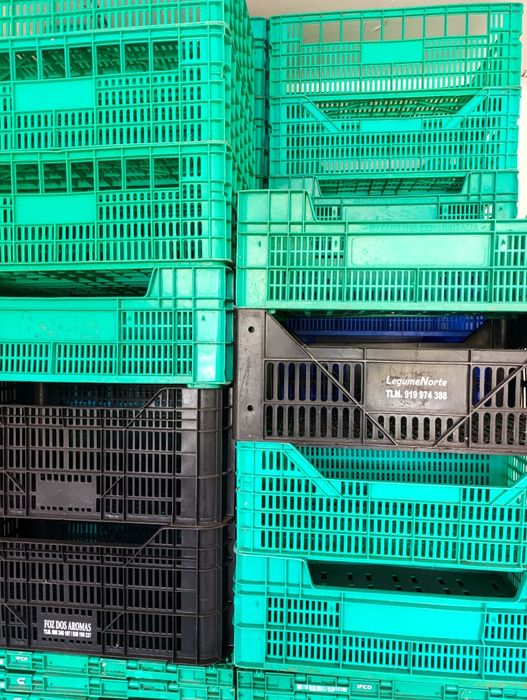 Caixas de plástico, frutas ou hortícolas