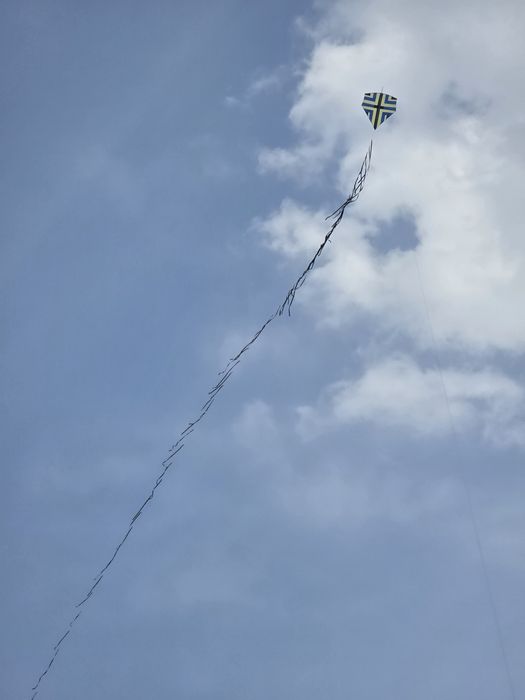 Pipas - papagaio - raia - raias com linha 10 corrente