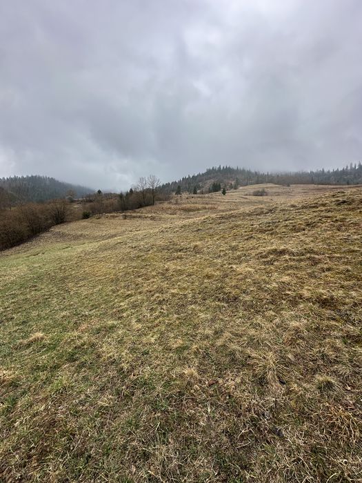 Продаж земельної ділянки під забудову с.Пшонець (Славське)