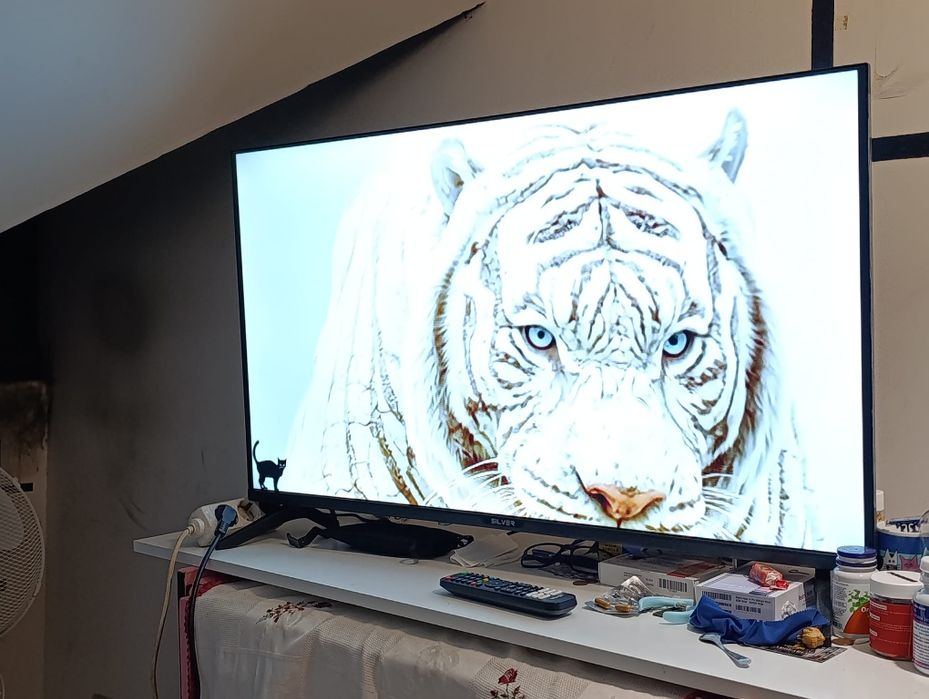 Tv  Led 43 polegadas Silver