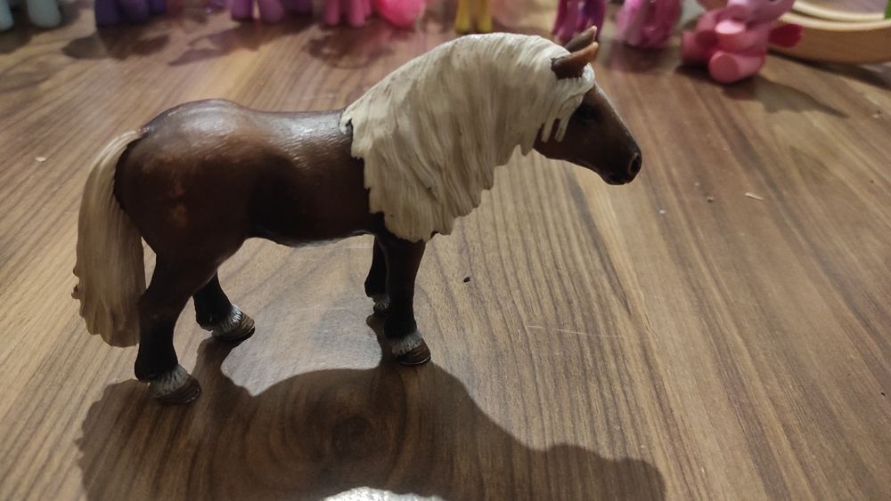 Поні my little pony. Коник