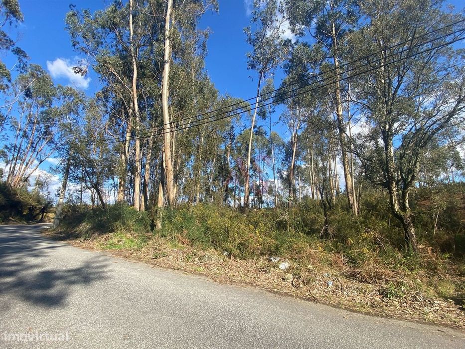 Terreno Rústico com 17.569 m2 em Sousela, Lousada
