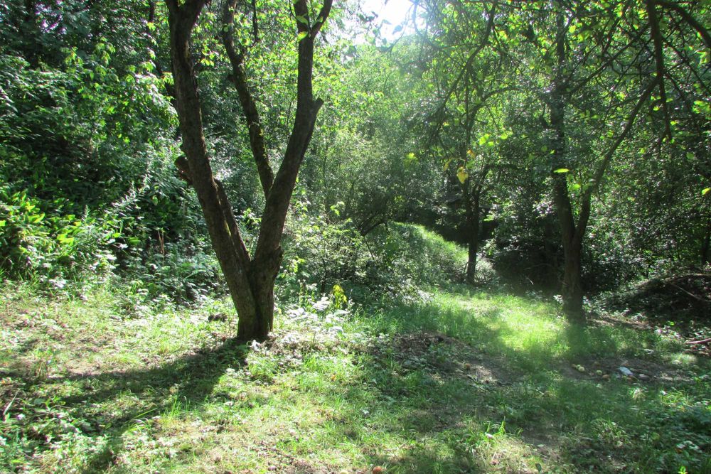 Земельна ділянка 10 соток в с/т "Кожевнік" вул. Отто Шмідта 22/26