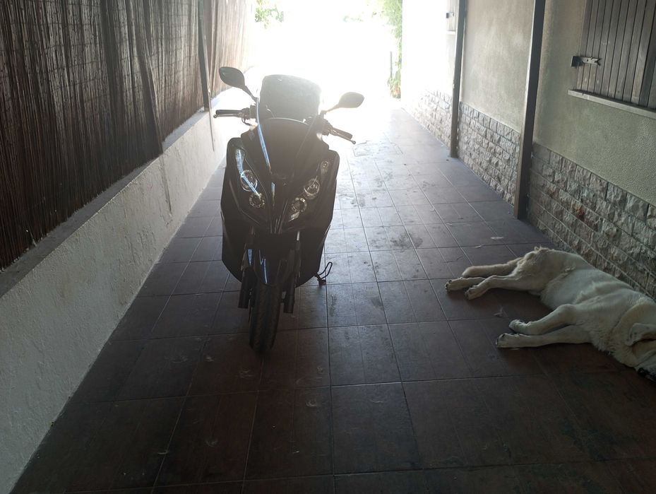 Mota/Maxi Scooter Kinco Donwtonw 300I