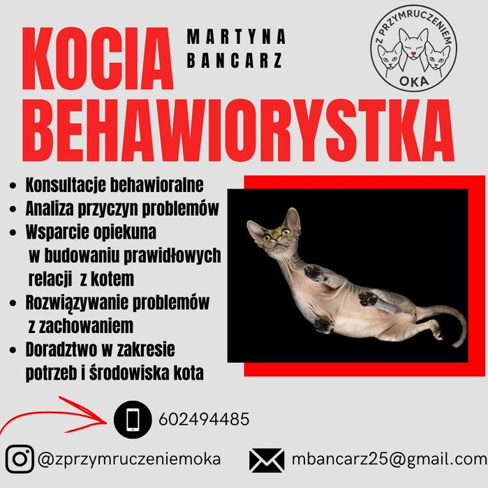 Behawiorysta kotów/petsitter  Lublin