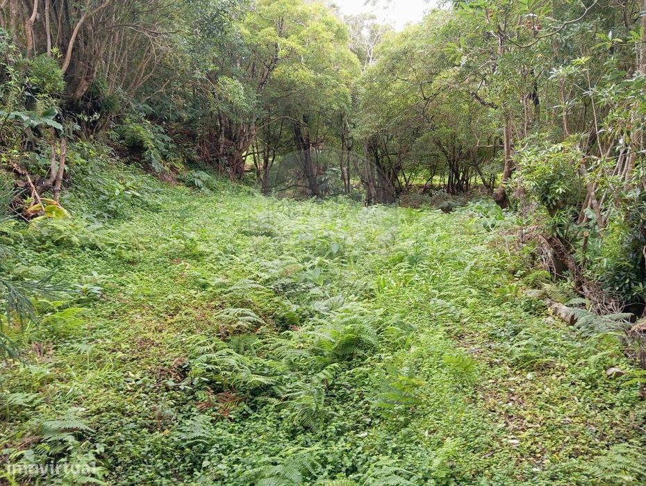 Terreno  para venda