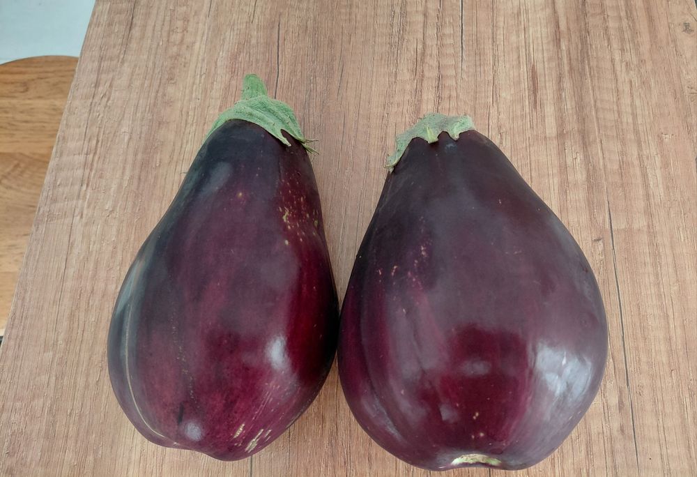 Nasiona warzyw, kwiatów i ziół. Kolekcjonerskie.