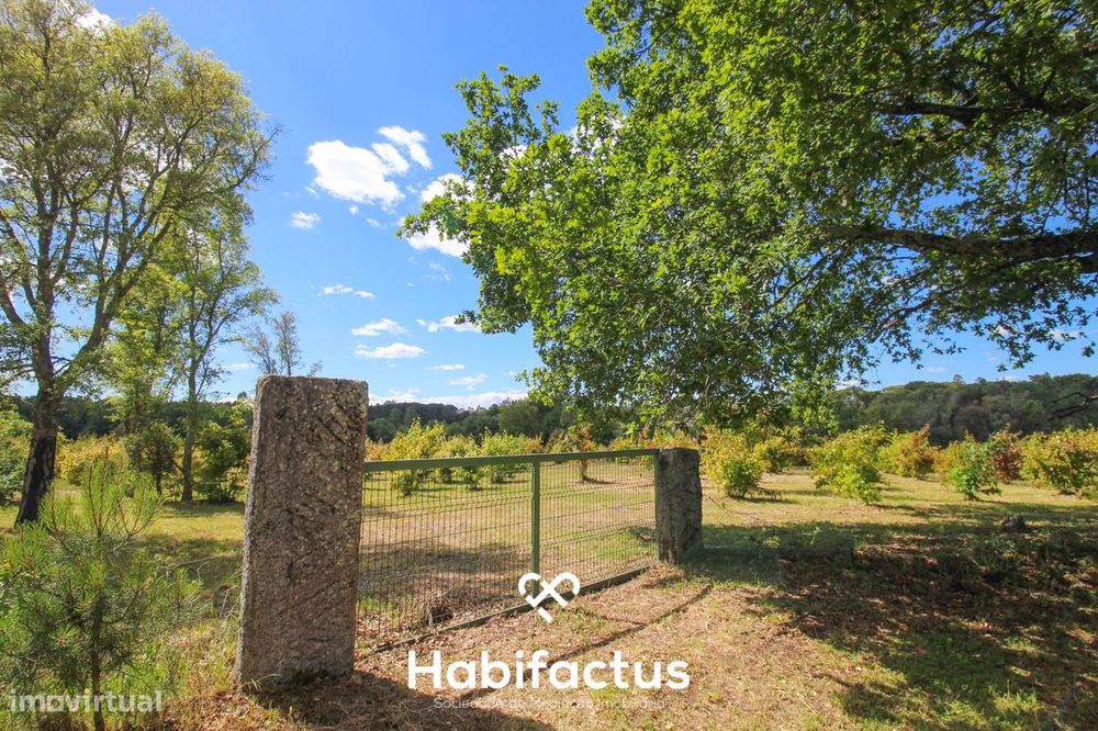 Terrenos à Venda – 6 Hectares em Canas de Senhorim, Nelas