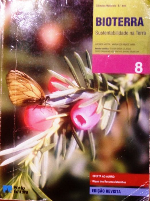 8º ano; Inglês Português Historia Matemática Biologia F. Química CN