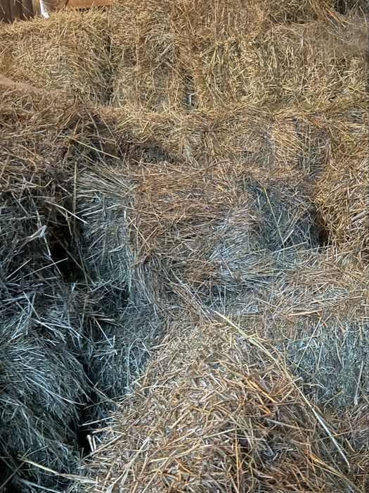 Продаю сіно лугове прошлогодниє  ціна 50 грн.