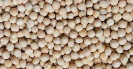 Kukurydza sucha, Pszenica, Owies, Jęczmień