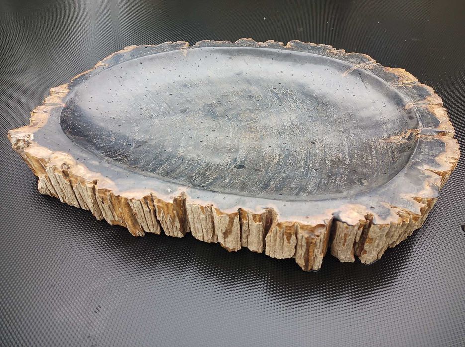 Dekoracja ze skamieniałego drewna Plaster patera39cm oryginał Indonezj